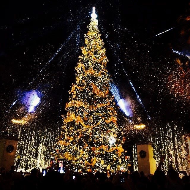 holiday-tree-lighting