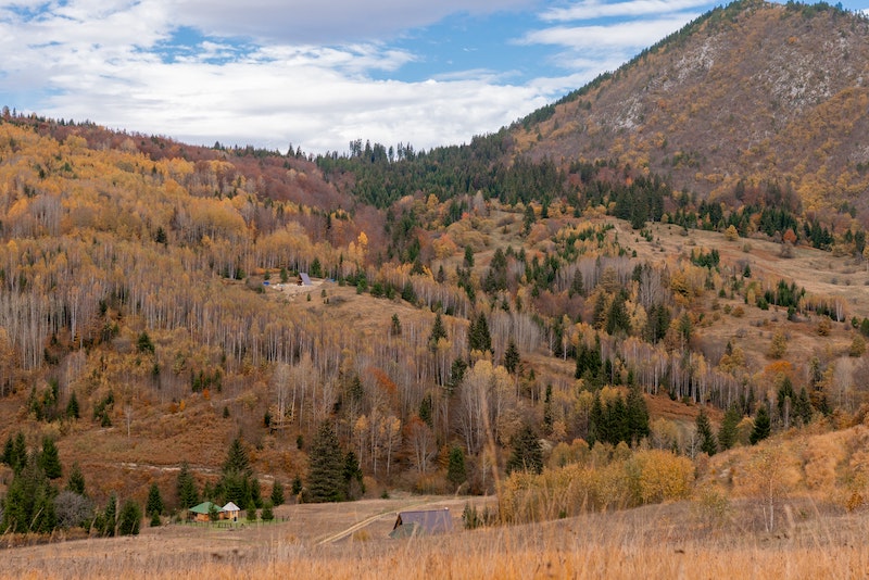 Embracing the Beauty of Fall: The Sierra Nevada and Lake Tahoe’s Aspen Trees